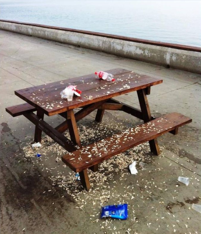 Every picnic table in every beauty spot